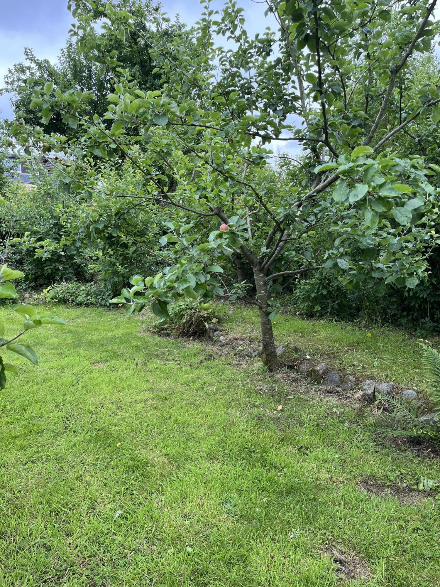 ניוטון סטיוארט Apple Cottage מראה חיצוני תמונה